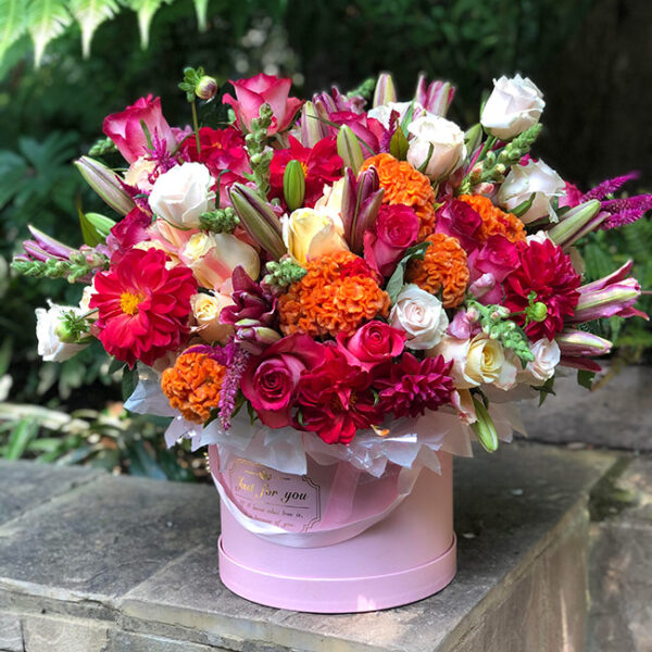 A Bright Surprise