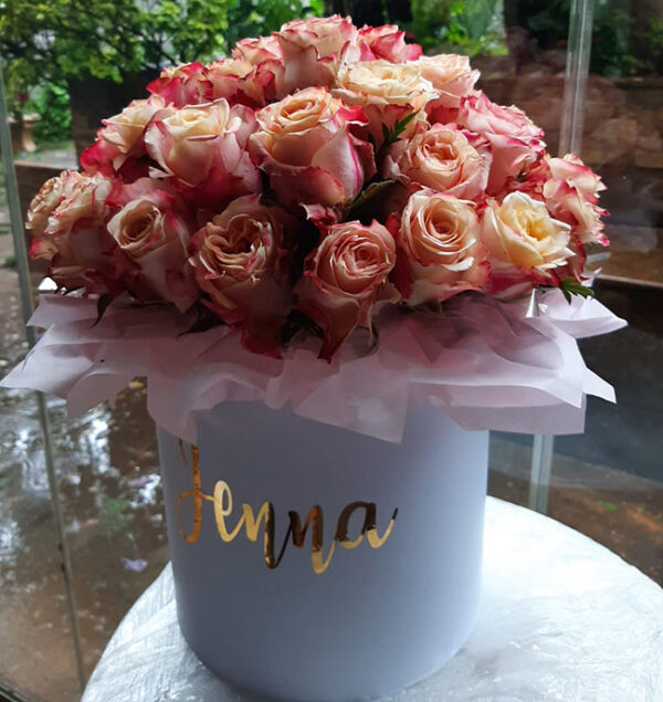 pink roses pink roses