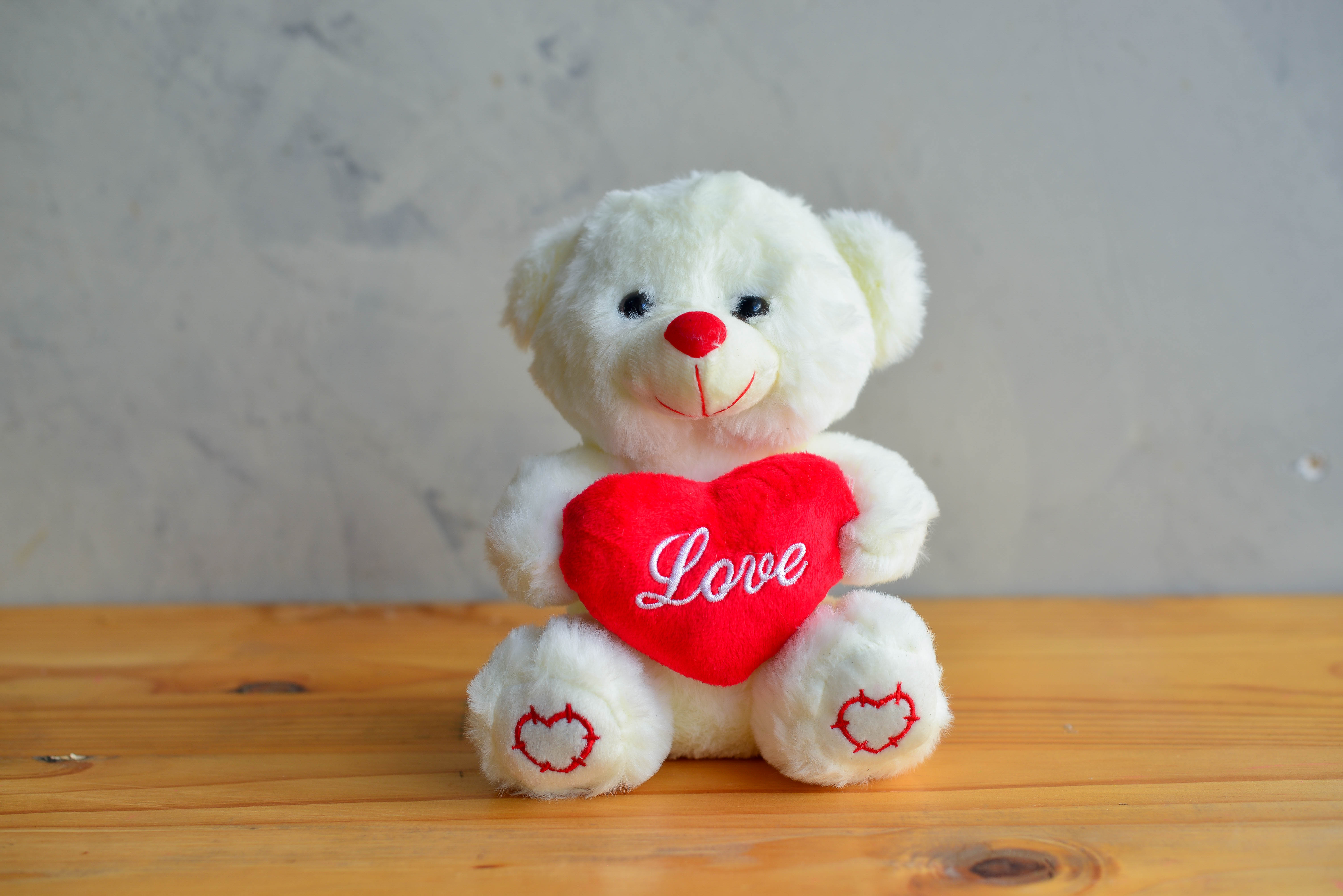 Teddy Bear Gift