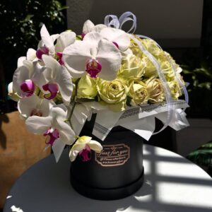 Orchid Black Box